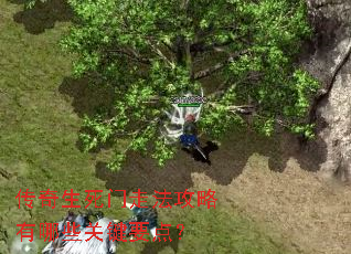 �����������߷���������Щ�ؼ�Ҫ�㣿