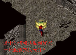 道士如何修炼骷髅战术才能称霸玛法大陆? 道士如何修炼骷髅战术才能称霸玛法大陆?