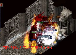 ����������Ҷ�������������