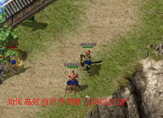 ��θ�Ч��ȡ���������弶������