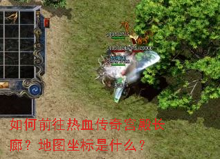 ���ǰ����Ѫ���湬��ȣ���ͼ������ʲô��