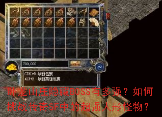 卧龙山庄隐藏BOSS有多强?如何挑战传奇SF中的超强人形怪物? 卧龙山庄隐藏BOSS有多强?如何挑战传奇SF中的超强人形怪物?