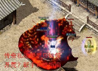 ����˽�����ǳ���ο��ģ����ֹ���ָ��