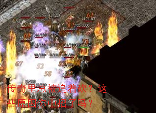 �������ܱ�׷�ſ�����Щԭ������������