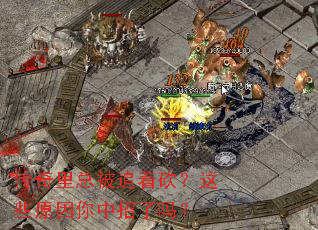 �������ܱ�׷�ſ�����Щԭ������������