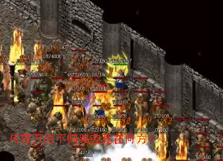 ������񲻹�·�����ںη���