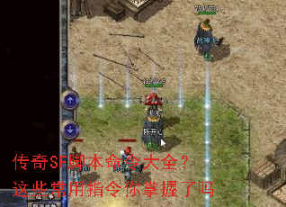 ����SF�ű������ȫ����Щ����ָ������������