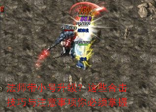 ��ʦ��С����������Щ�ϻ�������ע���������������