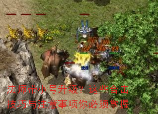 ��ʦ��С����������Щ�ϻ�������ע���������������