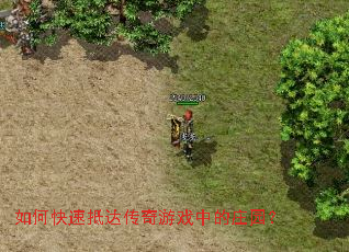 ��ο��ٵִﴫ����Ϸ�е�ׯ԰��