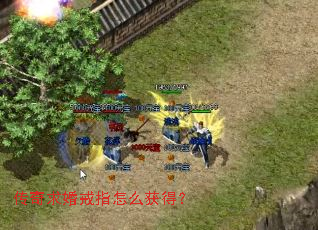 ��������ָ��ô��ã�