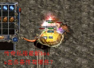 ����˽������boss��ɱ��������Щ��