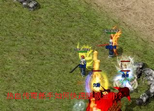 ��Ѫ����������ο���׬ȡ��ң�