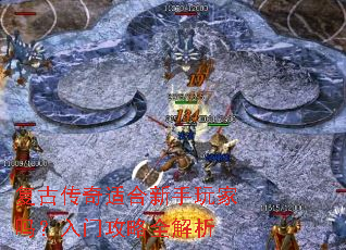 ���Ŵ����ʺ�������������Ź���ȫ����