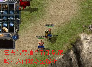 ���Ŵ����ʺ�������������Ź���ȫ����