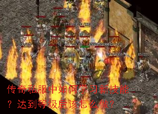 ����˽�������ѧϰ�¼��ܣ��ﵽ�ȼ������ô����