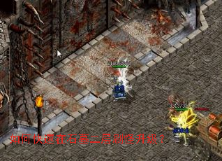 ��ο�����ʯĹ����ˢ��������