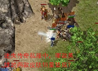 ��ʧ����˽���У��Ŀ�Ӣ�۵�����Ƥ��������ף�