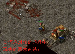 ���Ӧ�Դ�����Ϸ����ҵĶ���׷ɱ��