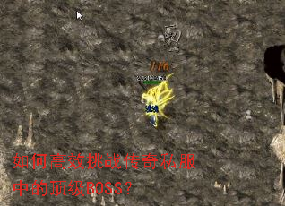 ��θ�Ч��ս����˽���еĶ���BOSS��