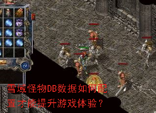 ѩ�����DB����������ò���������Ϸ���飿