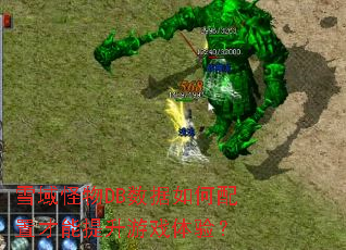 ѩ�����DB����������ò���������Ϸ���飿