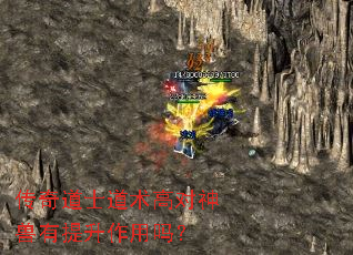 �����ʿ�����߶�����������������