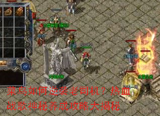 ���������Ϯ��˾������Ѫս���������ɹ��Դ����