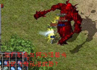 ��ʦְҵ���ѡ������ʵĴ���˽��������