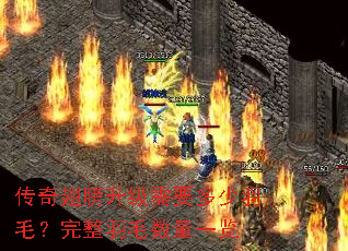 ������������Ҫ������ë��������ë����һ��