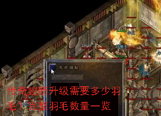 ������������Ҫ������ë��������ë����һ��