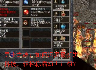 ��ʿ֮�꣺����������ºڿƼ������ɳưԻ���������