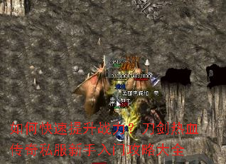 ��ο�������ս����������Ѫ����˽���������Ź��Դ�ȫ