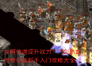 ��ο�������ս����������Ѫ����˽���������Ź��Դ�ȫ