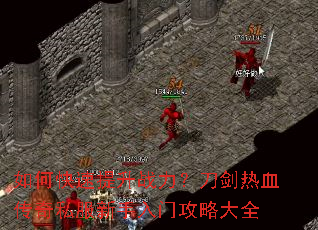 ��ο�������ս����������Ѫ����˽���������Ź��Դ�ȫ