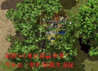 ���5V5�����ư�ȫ���������ѧ��ʤ�ؼ������