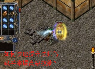 ��ο���������ʦ�ȼ������ո߼����ܣ�