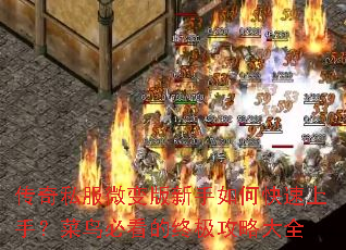 ����˽��΢���������ο������֣�����ؿ����ռ����Դ�ȫ