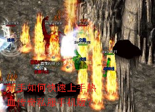 ������ο���������Ѫ����˽���ֻ��棿