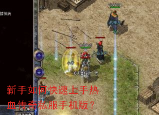 ������ο���������Ѫ����˽���ֻ��棿