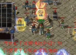 ����������ο���������5173����ƽ̨�������ָ��