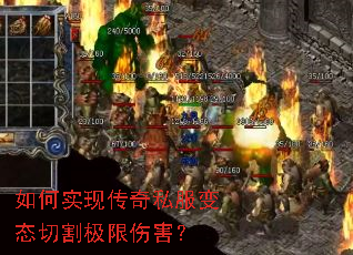 ���ʵ�ִ���˽����̬�и���˺���