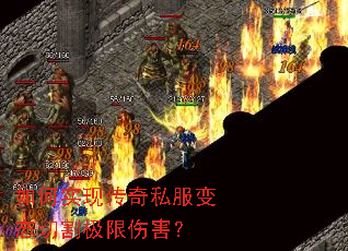 ���ʵ�ִ���˽����̬�и���˺���