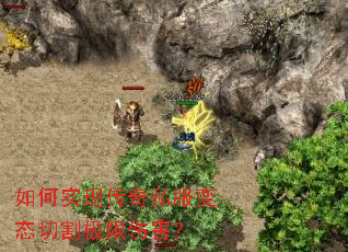 ���ʵ�ִ���˽����̬�и���˺���