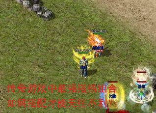 ������Ϸ����ǿ������δ����������������