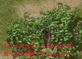 �������ѡ�񣺷����콾����Ѫ����˽���ĸ����ʺ����ţ�