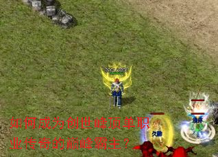 ��γ�Ϊ�����嶥��ְҵ������۷������