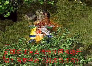 �°����Ǹ��Ŵ�����ο�������������Щ��ѧ�Ľ��׼��ɣ�