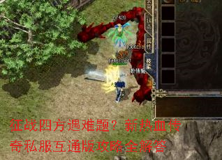 ��ս�ķ������⣿����Ѫ����˽����ͨ�湥��ȫ���