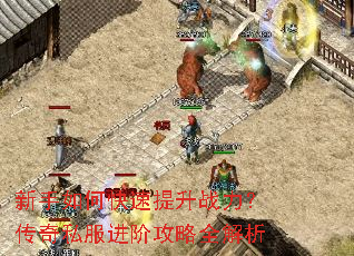 ������ο�������ս��������˽�����׹���ȫ����